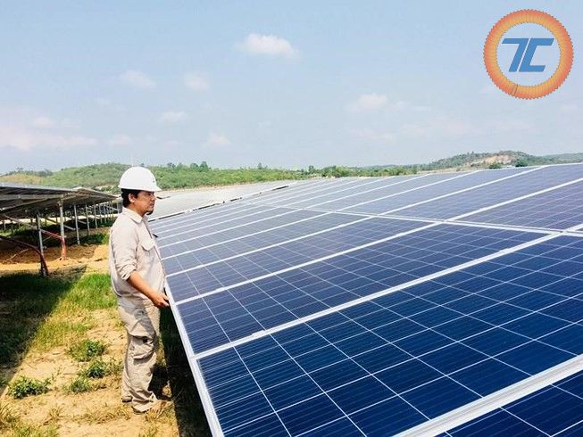 Dự án Điện mặt trời Đầm Trà Ổ - Bình Định